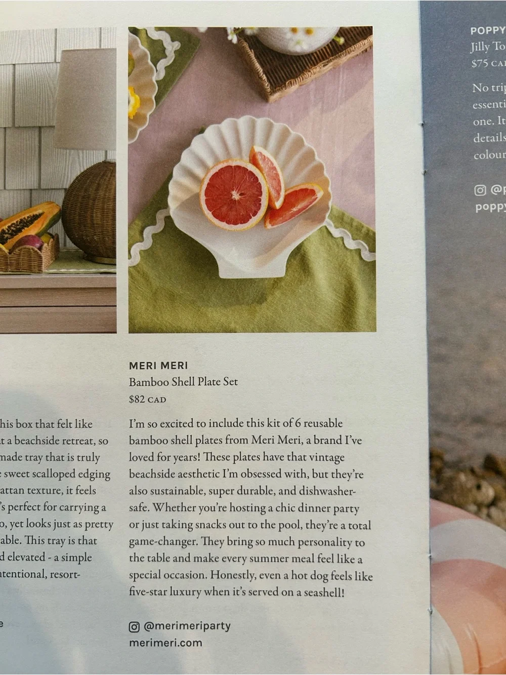 Meri Meri Bamboo Shell Plate Set - Picture 5 of 5